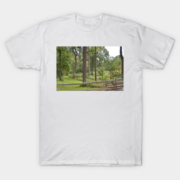 Backyards are for exploring T-Shirt by srosu